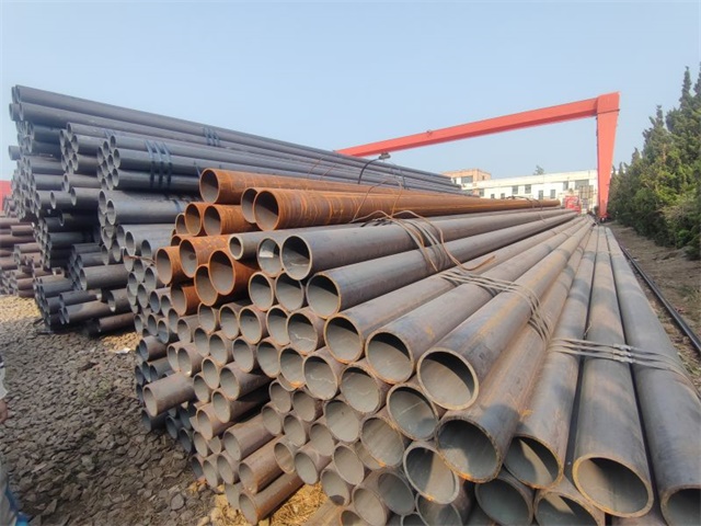 IMG_20230401_153611.jpg IMG_20230401_153611.jpg